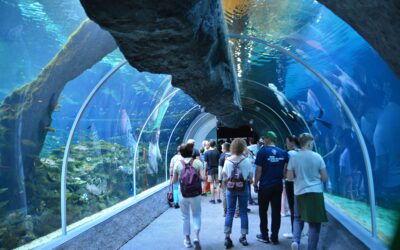 Orientarium w Łodzi i Park Rozrywki Mandoria (1 dzień)