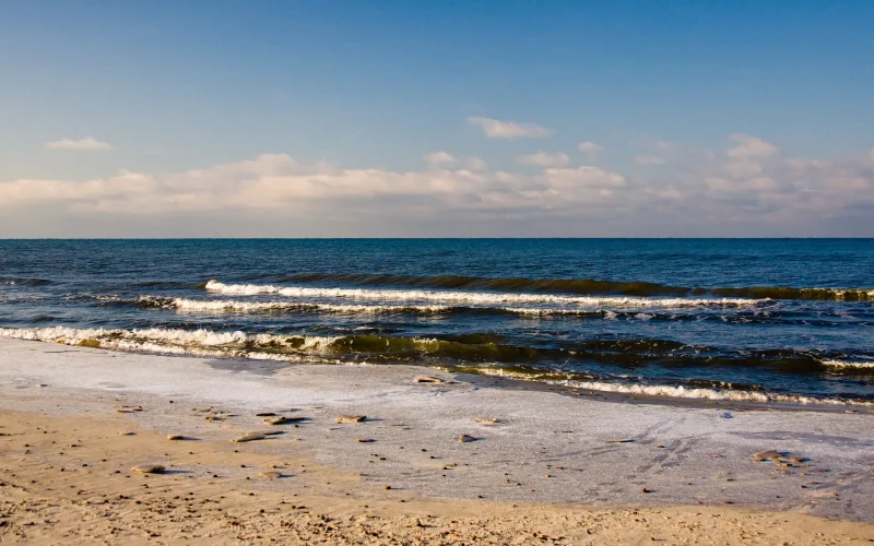 Plaża na Mierzei Kurońskiej