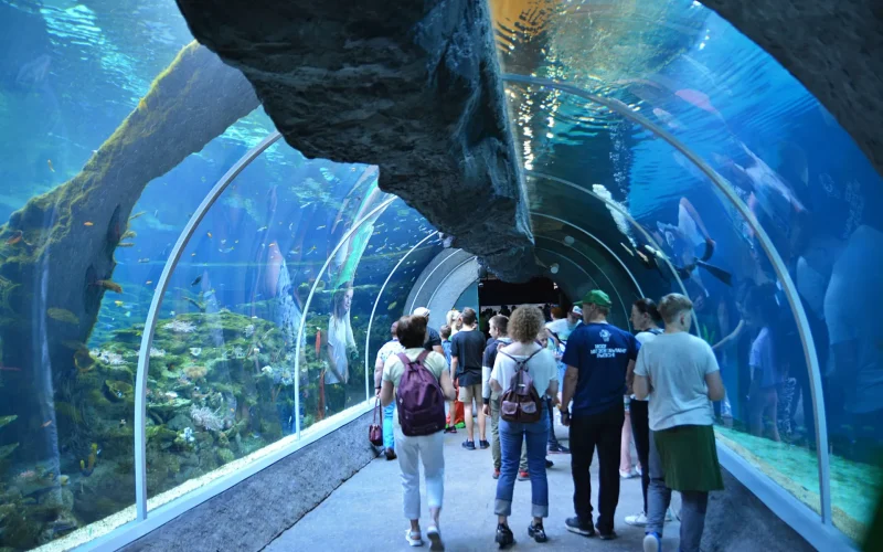 Podwodny tunel w Orientarium w Łodzi